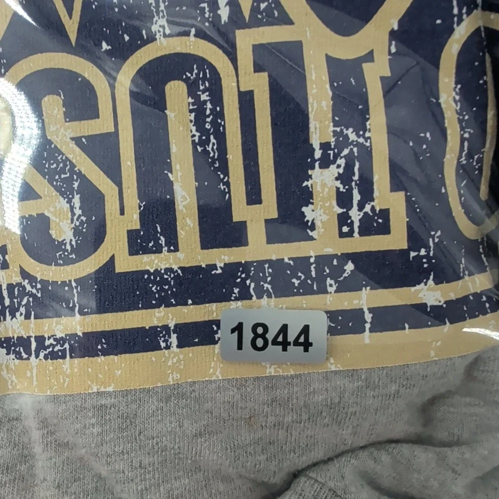 Vtg Y2K‎ Washington Huskies Hanes Beefy-T Mens Heather Gray Graphic Shirt Size L